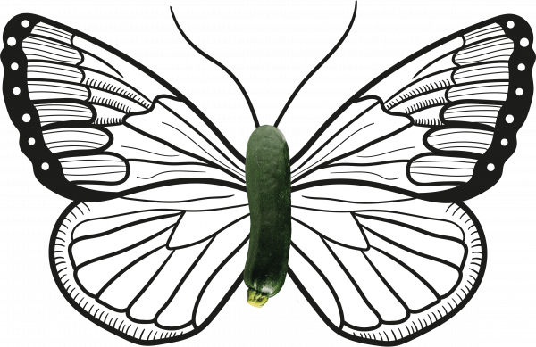 BIO-Center ZANN - 1057