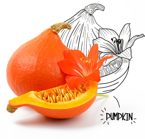 BIO-Center ZANN - 967