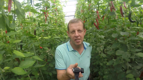 BIO-Center ZANN - 1054